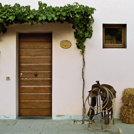 Appartamenti Agriturismo La Canonica Certaldo Eksteriør bilde