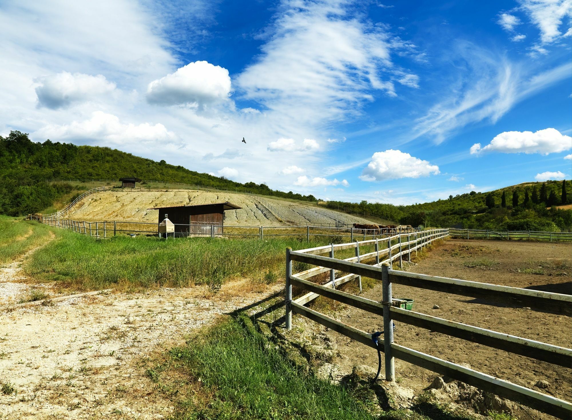 Appartamenti Agriturismo La Canonica Certaldo Eksteriør bilde